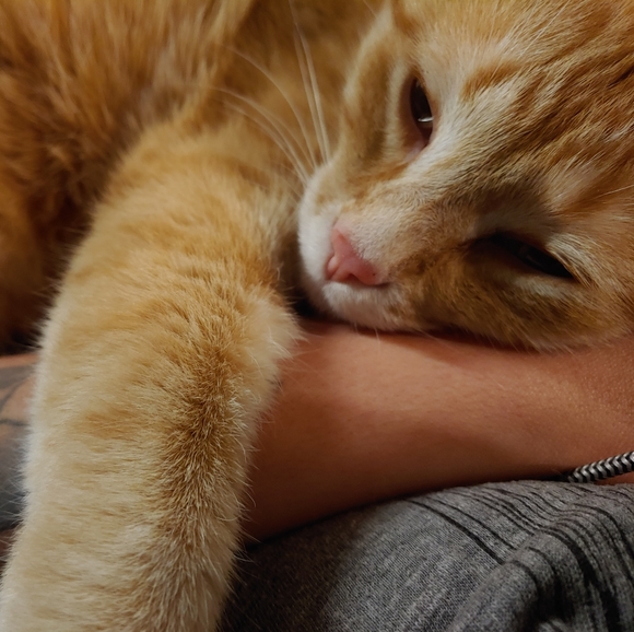 Meet your Posher, Heather - Picture 8 of 11